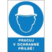 12205 T.Dolgozz védősisakban