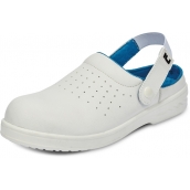 RAVEN OB SRC sabot