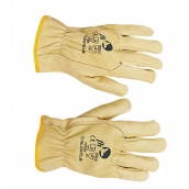 PALLIDA YELLOW